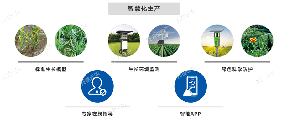 产供销一体化综合解决方案种卖一体