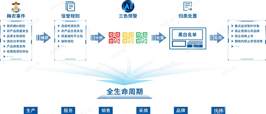 数据分析